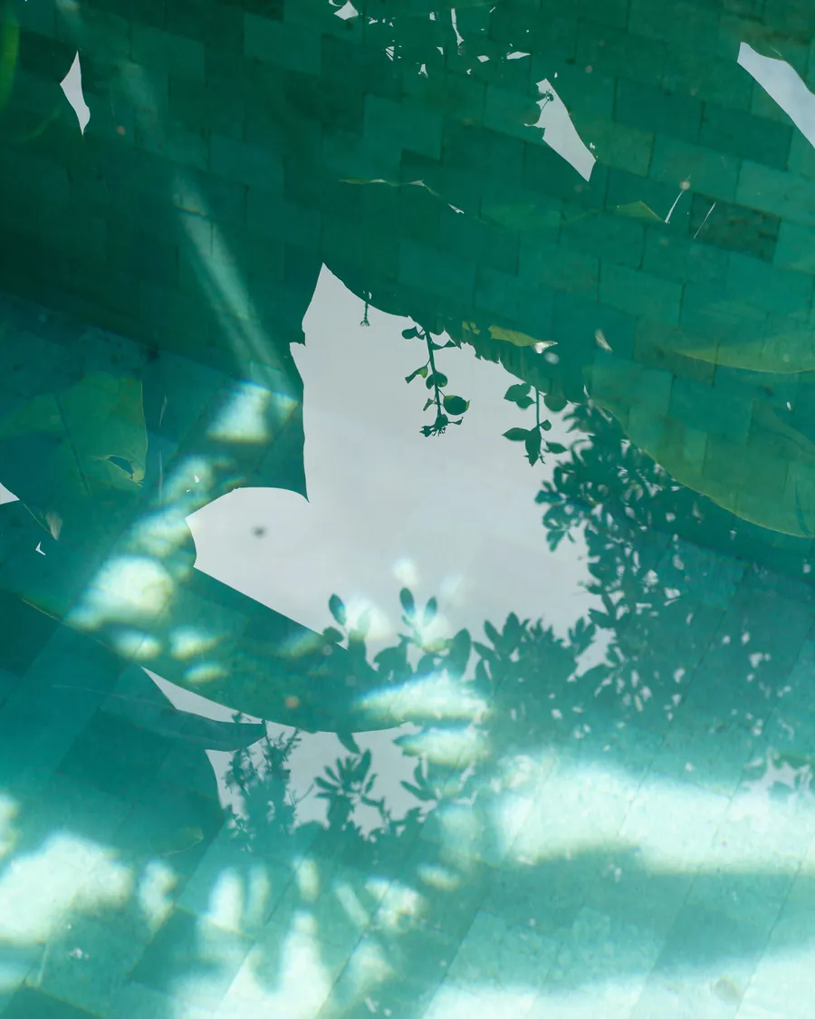 Cloudy green-tinted pool water with tree shadows on the tiles