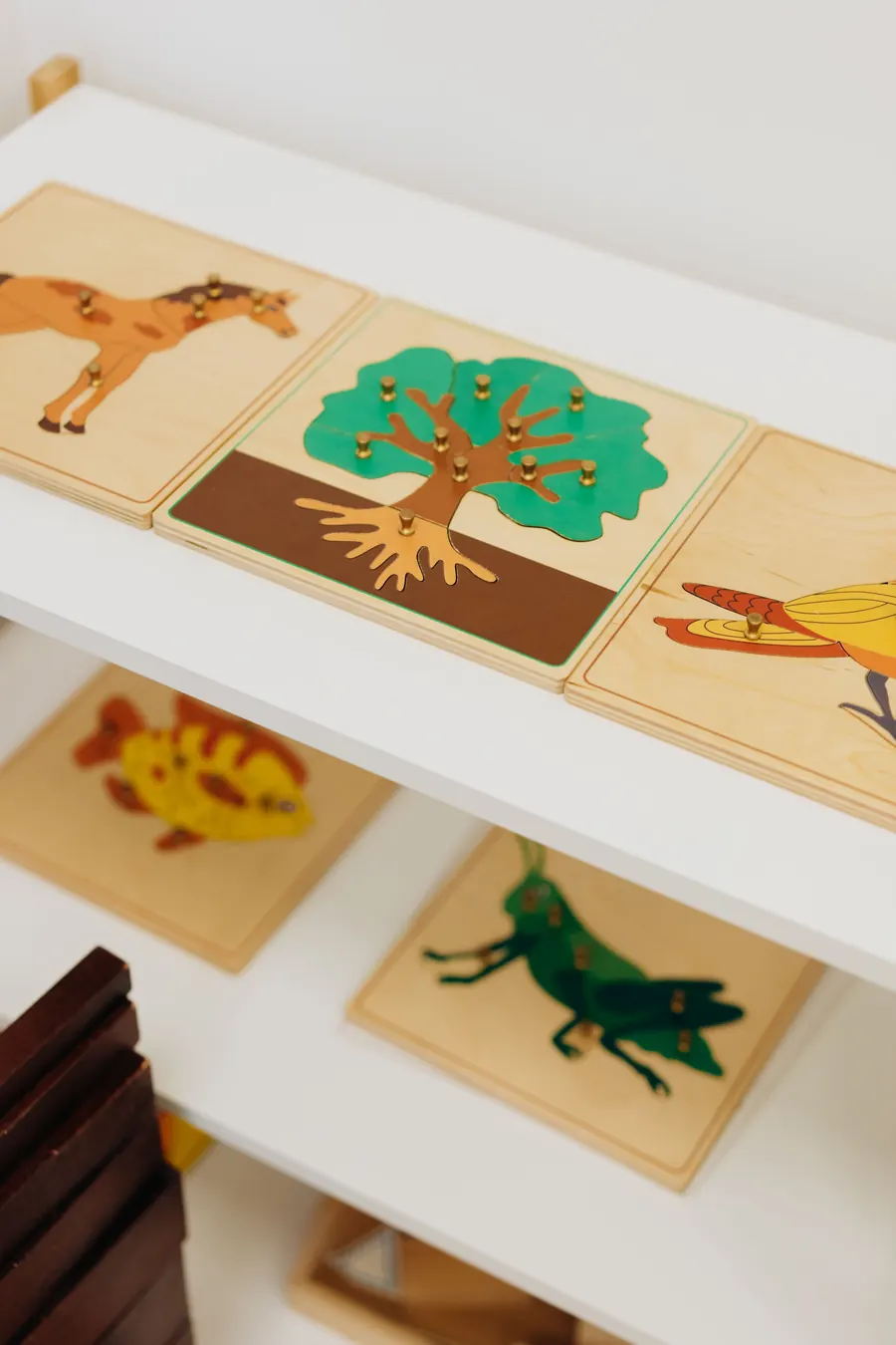 Wooden animal and tree picture puzzles on a classroom shelf